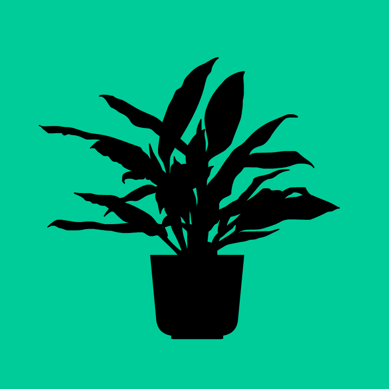 Indoor Plant Decor - Flat Illustration by Illugrama