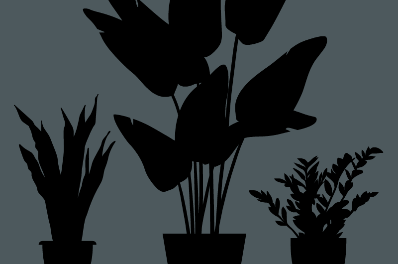 Plants and Home Decor - Vector Icons by Illugrama
